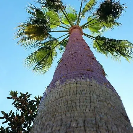 Casartà Casa vacanze